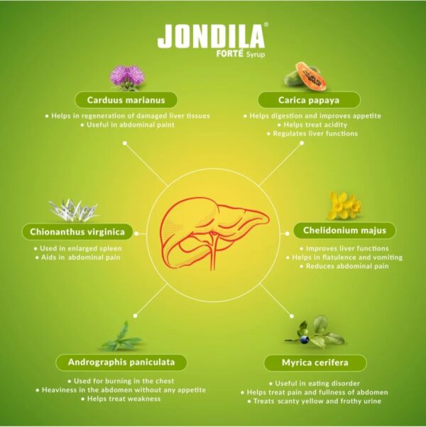 Liver Health Medisynth Jondila Forte Syrup 450ml