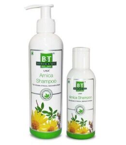 B&T Arnica Shampoo