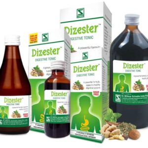 Willmar Schwabe Dizester Digestive Tonic Syrup