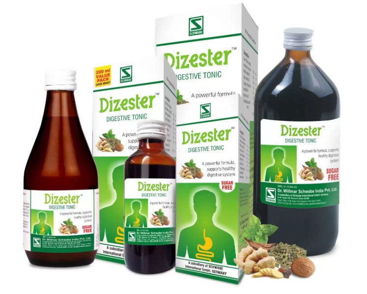 Willmar Schwabe Dizester Digestive Tonic Syrup