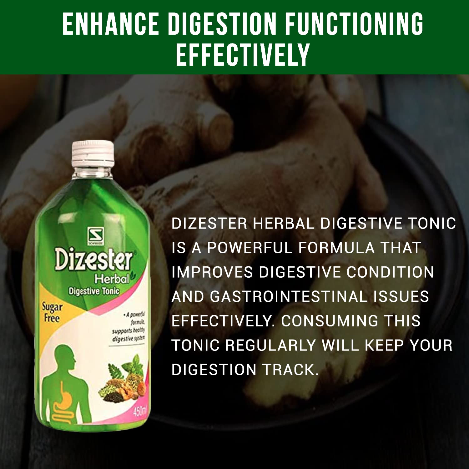 Schwabe Dizester digestive tonic
