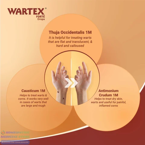 Medisynth Wartex Forte Drop