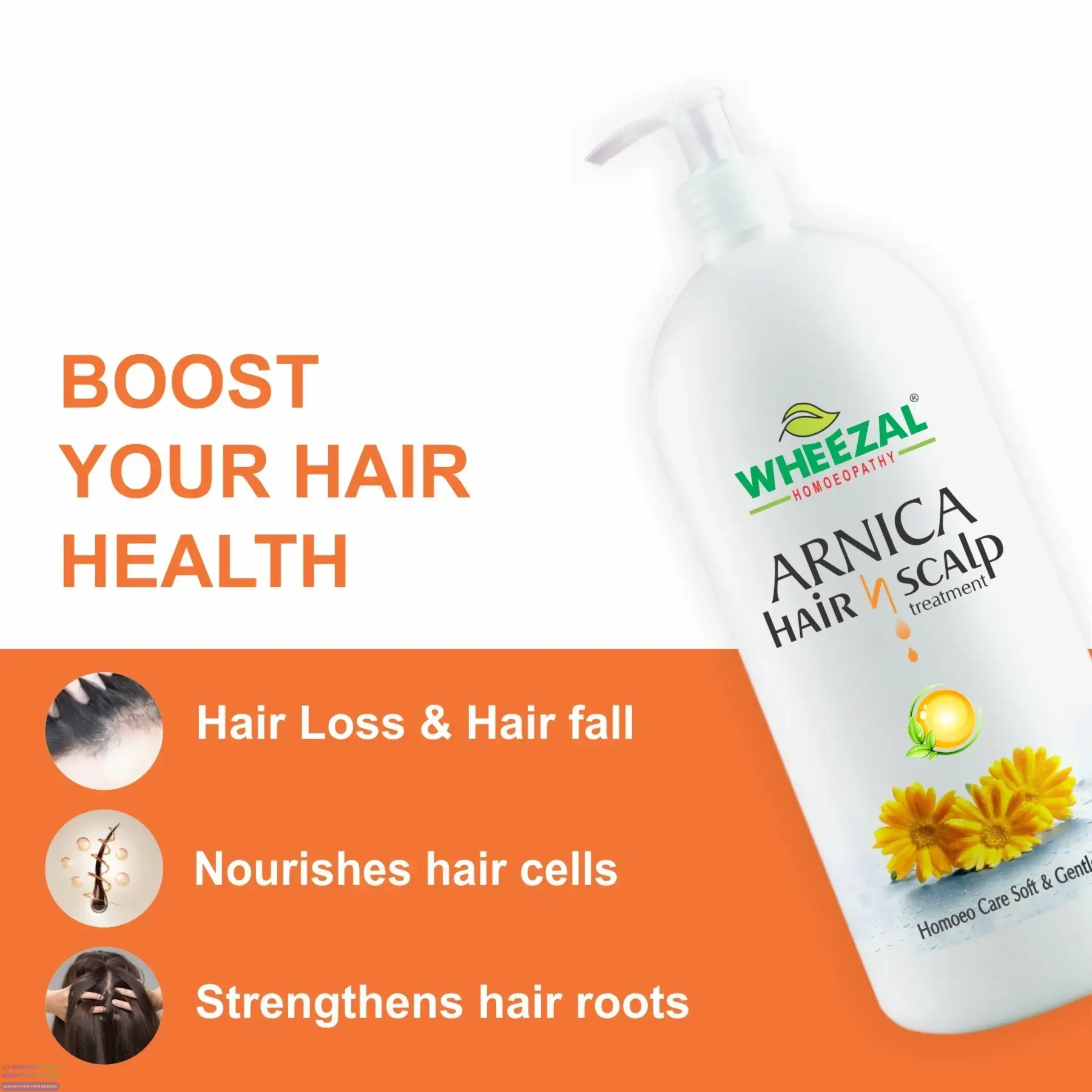 Wheezal Arnica Anti-Dandruff Shampoo