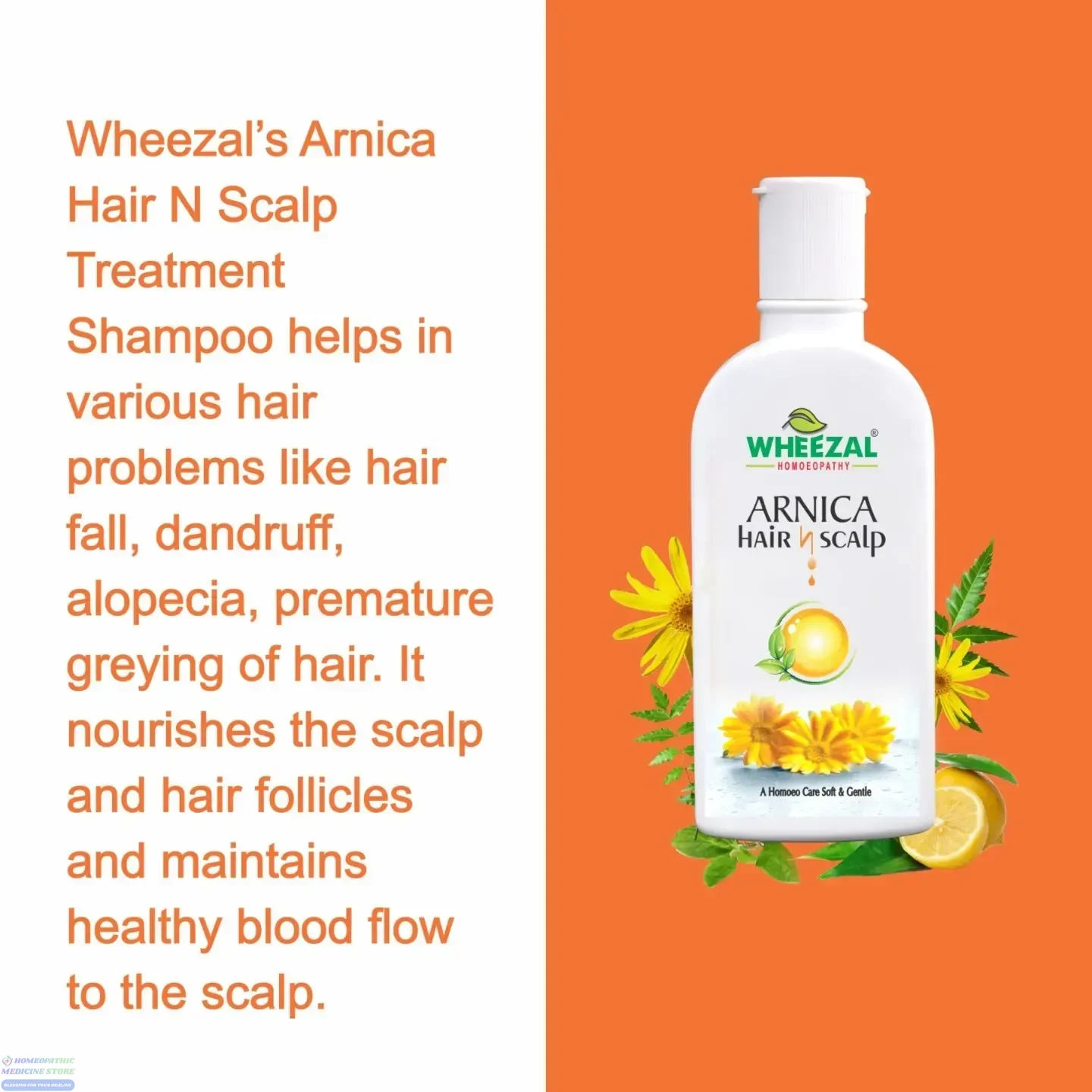 Wheezal Arnica Hair N Scalp Anti-Dandruff Shampoo - Image 3