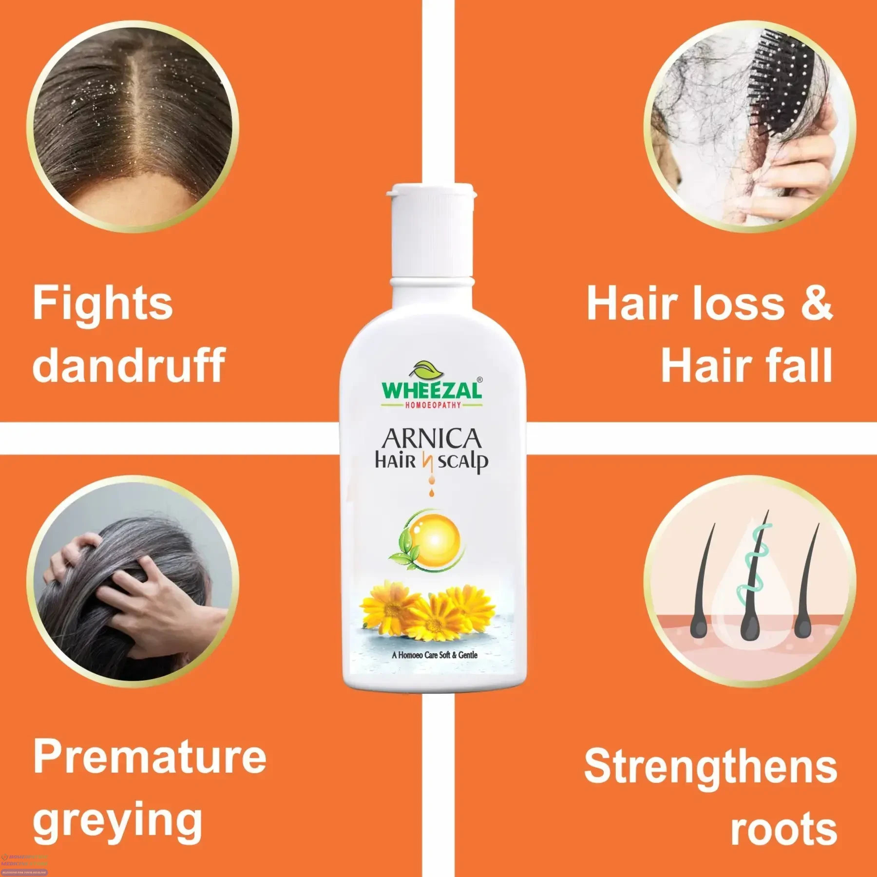 Wheezal Arnica Hair Shampoo