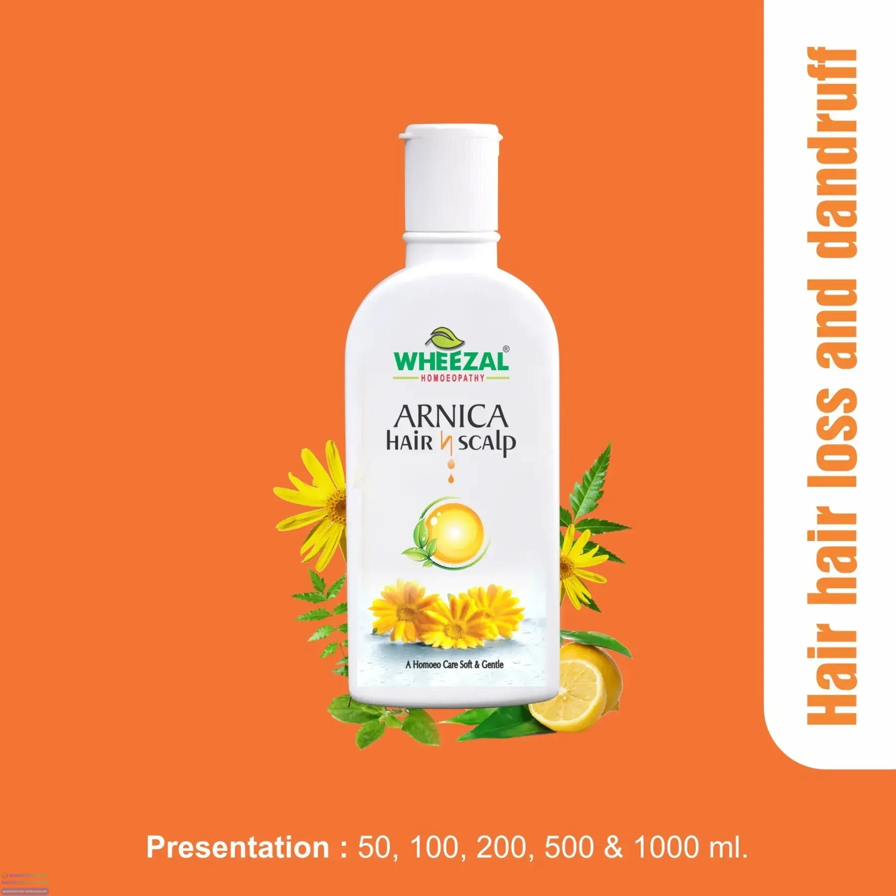 Wheezal Arnica Hair n scalp Anti-Dandruff Shampoo
